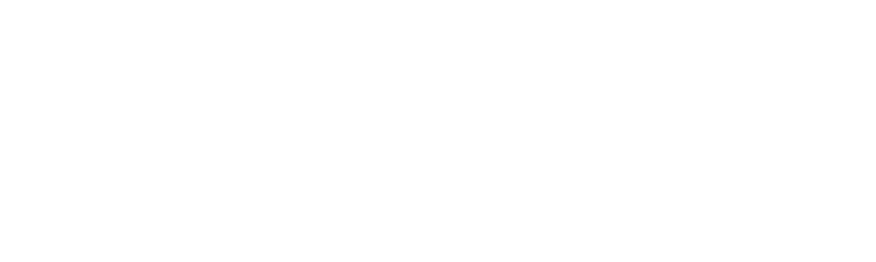 رویش مدیا